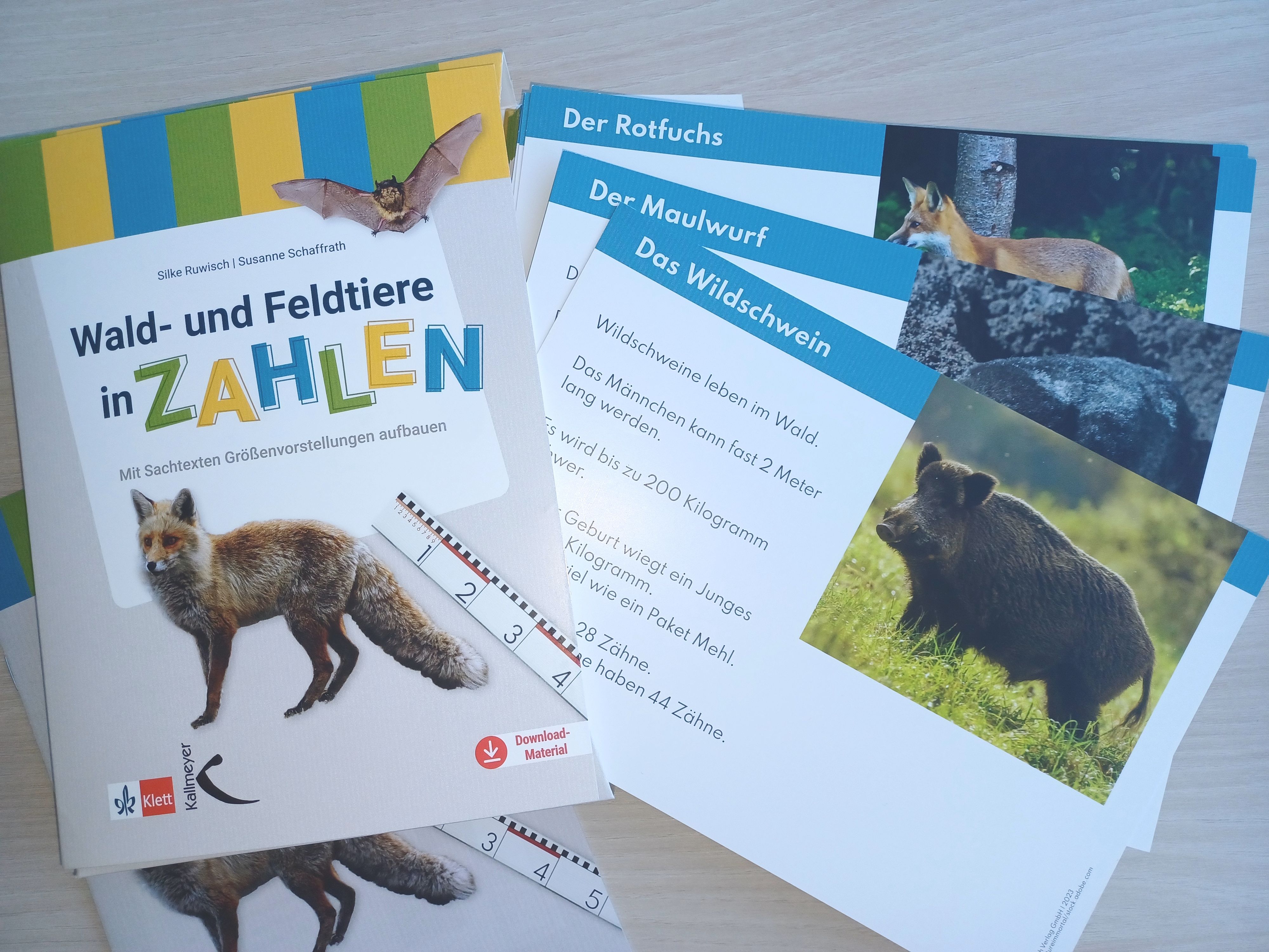 Wald- und Feldtiere in Zahlen - Mit Sachtexten Größenvorstellungen aufbauen